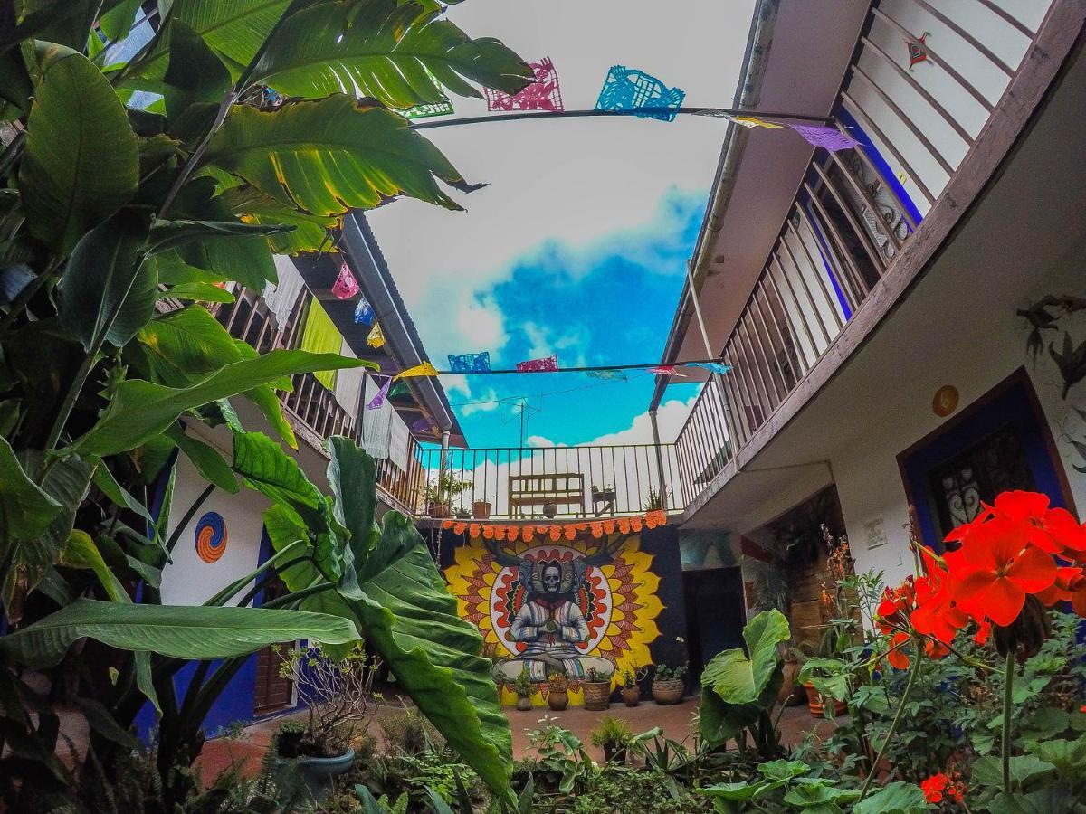 Hostel El Nagual San Cristóbal de Las Casas Zewnętrze zdjęcie