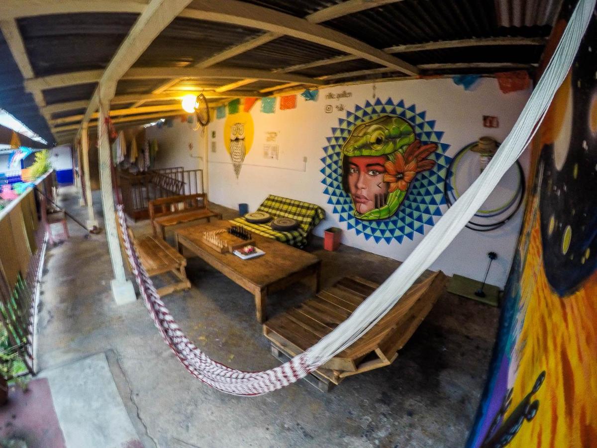 Hostel El Nagual San Cristóbal de Las Casas Zewnętrze zdjęcie