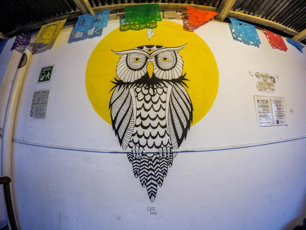 Hostel El Nagual San Cristóbal de Las Casas Zewnętrze zdjęcie